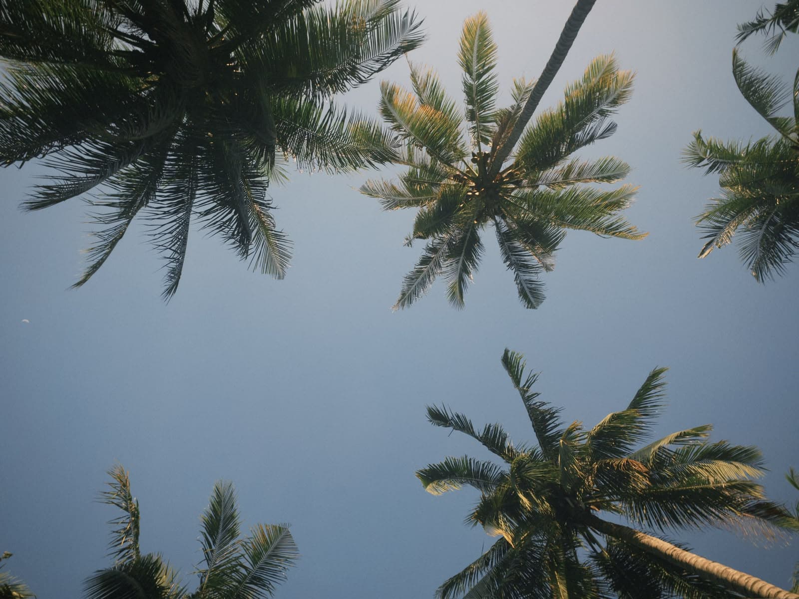 bali2